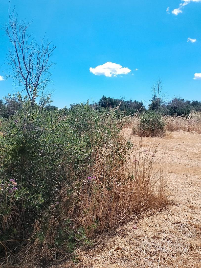 Terreno agricolo - Vista 3