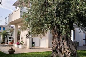 Villa singola - Noto