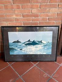 Quadri 20 euro ciascuno