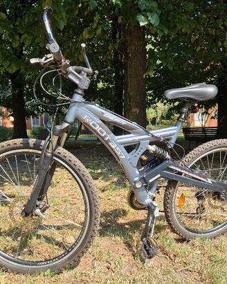 Mountain bike
