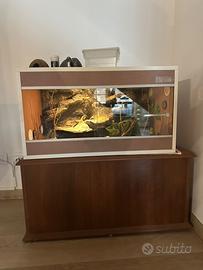 Terrario per geco o altro