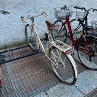 Bicicletta Sartoris con sella Brooks