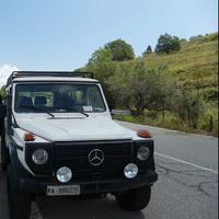 Mercedes gd 300 om605