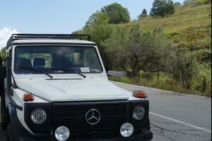 Mercedes gd 300 om605