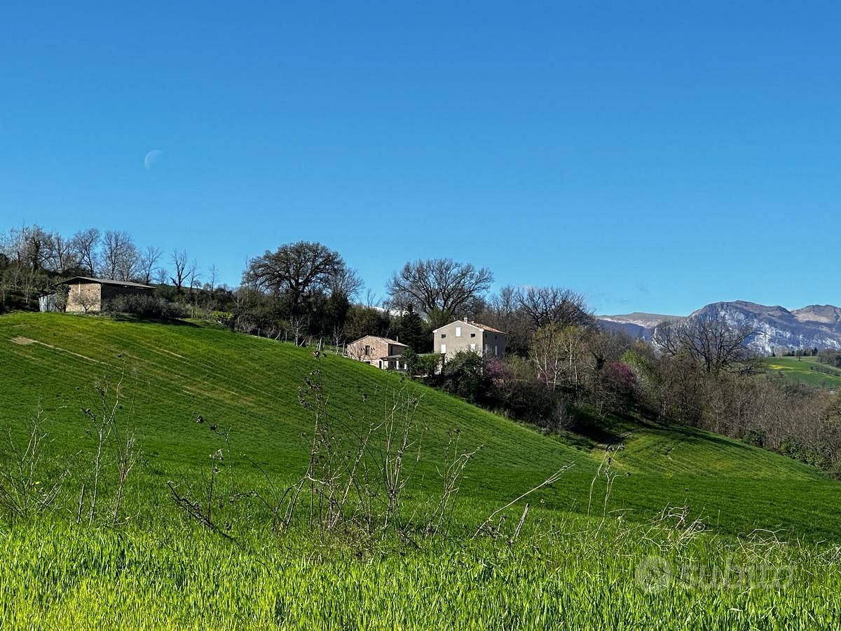 Rustico - Sant'Angelo in Pontano - Vista 3