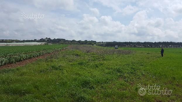 Terreno agricolo - Vista 3