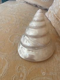 Conchiglia madreperla