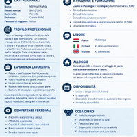 Addetto alle pulizie, Operaio, Magazziniere