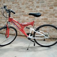 Bicicletta Mountain bike 