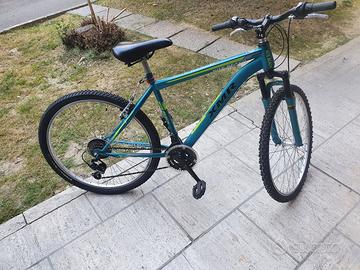 Bicicletta MTB