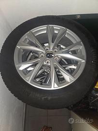 Cerchi e gomme Audi Q3