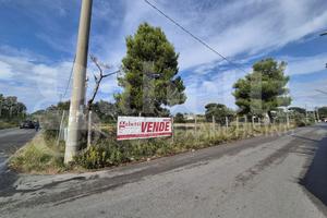 Terreno Residenziale Anzio [terreno viale RomaVRG]