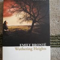 Wuthering Heights, Emily Brontë, lingua inglese