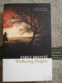 Wuthering Heights, Emily Brontë, lingua inglese