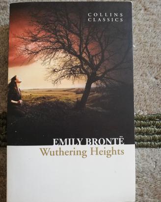 Wuthering Heights, Emily Brontë, lingua inglese