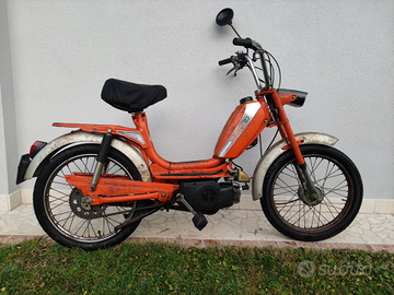 Atala Califfo conservato