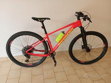 bicicletta  montabike
