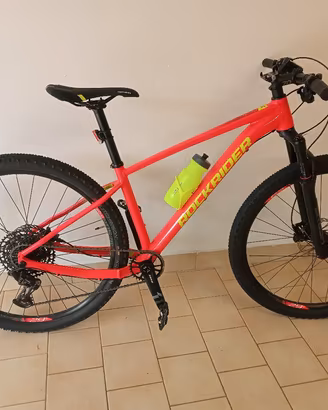 bicicletta  montabike