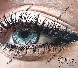 Ritratti, Disegni quadri su commissione