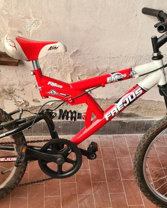 Bicicletta Bambino 20 pollici
