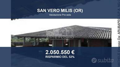 Immobile in asta di 9079 m² a San Vero Milis