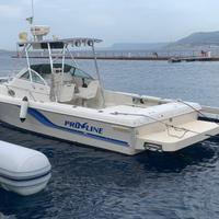 Proline 23 walk around