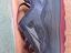 Immagine 6
