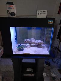 acquario 