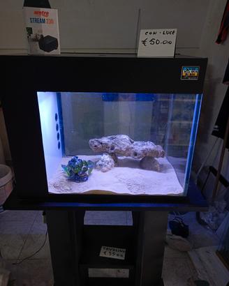acquario 