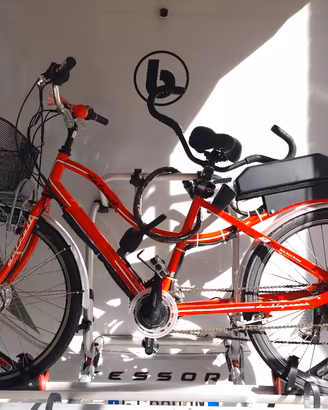 Tandem elettrico Casadei