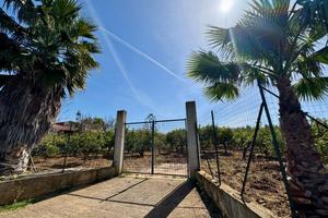 Terreno Agricolo - Partinico