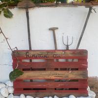 legna da ardere da tagliare nel bosco