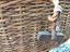 Immagine 3