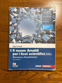 Il nuovo Amaldi per i licei scientifici.blu