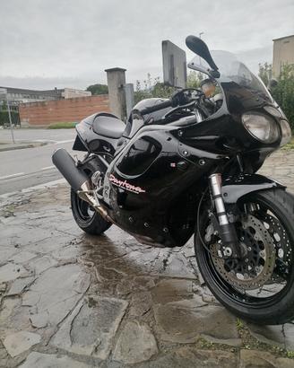 Triumph Daytona T595 - 1999