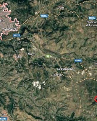 Ploaghe - Terreno mq.4000 con casetta loc.Lazzari