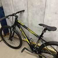 Bicicletta mountain bike