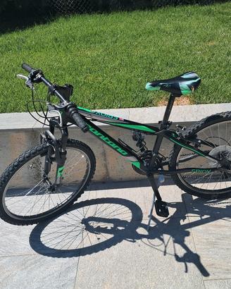 bici montana