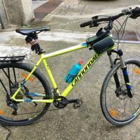 mtb cannondale trail1 ruote 29