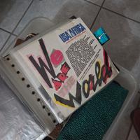 Dischi in vinile 33 e 45 giri