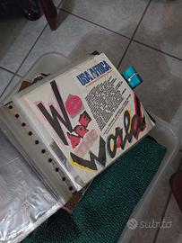 Dischi in vinile 33 e 45 giri