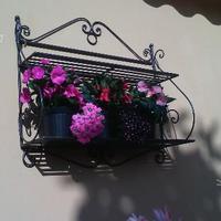 Scaffale libreria porta piante