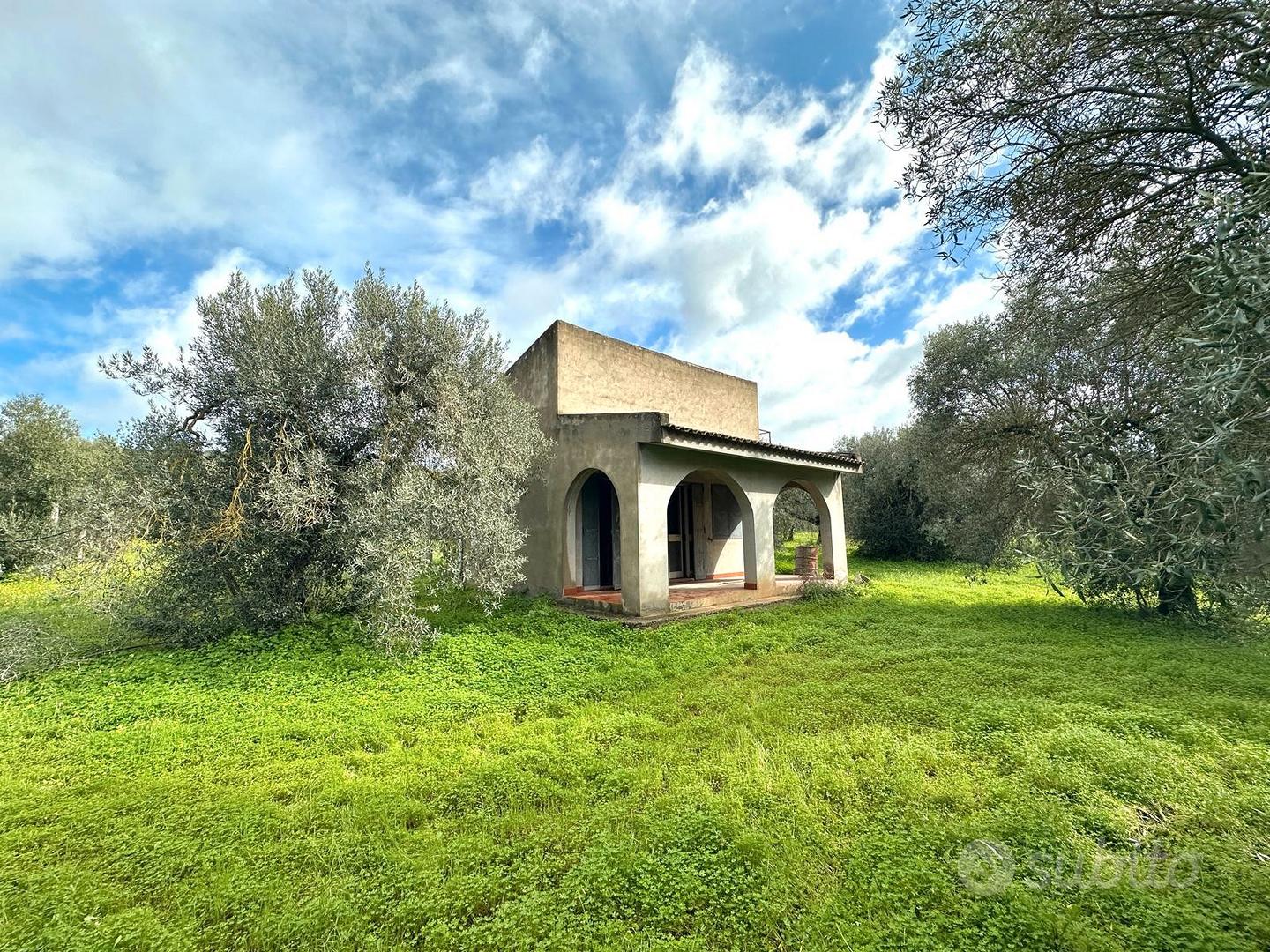 Ulivetto Fabricato e Pozzo Artesiano - Vista 2