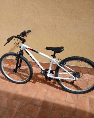 Bicicletta Bambino