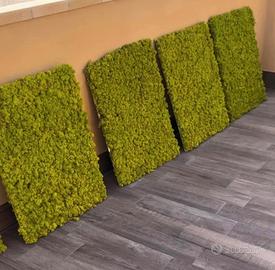 Pannelli di lichene stabilizzato