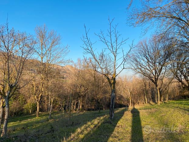 Terreno agricolo