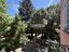Immagine 26