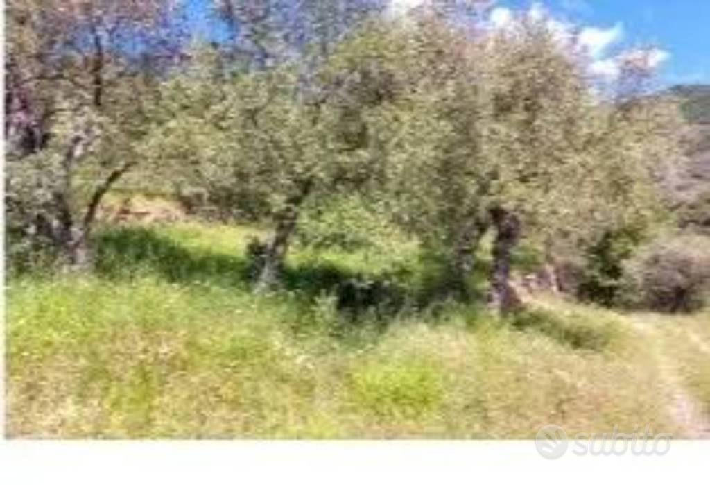 Immobile in asta di 10150 m² a Pietrabruna - Vista 5