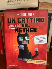 "un gattino smarrito nel nether"serie di Minecraft