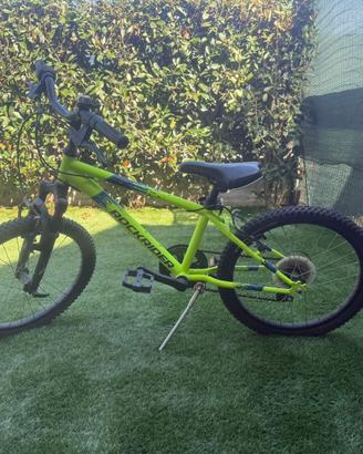 Bici bambino diametro 20"